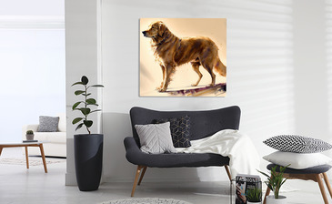 Wizualizacja produktu