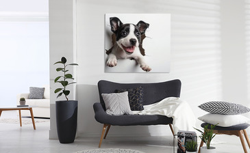 Wizualizacja produktu