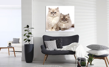 Wizualizacja produktu