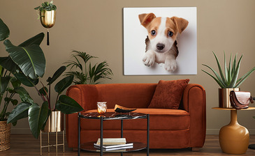 Wizualizacja produktu