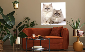 Wizualizacja produktu