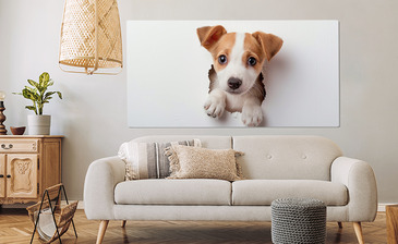 Wizualizacja produktu