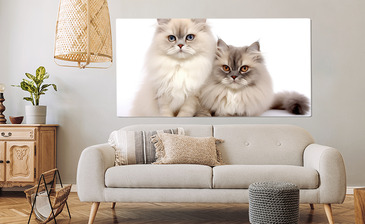 Wizualizacja produktu