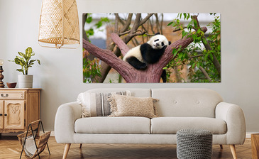 Wizualizacja produktu