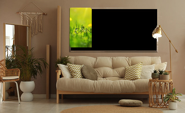 Wizualizacja produktu