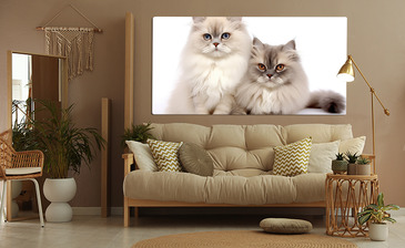 Wizualizacja produktu