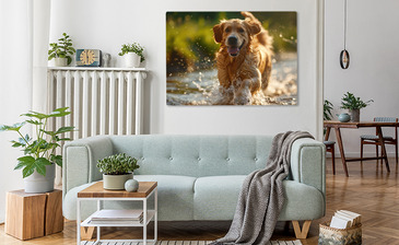 Wizualizacja produktu