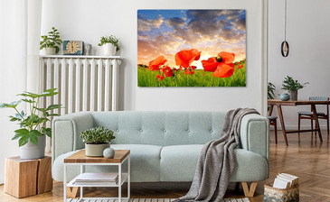 Wizualizacja produktu